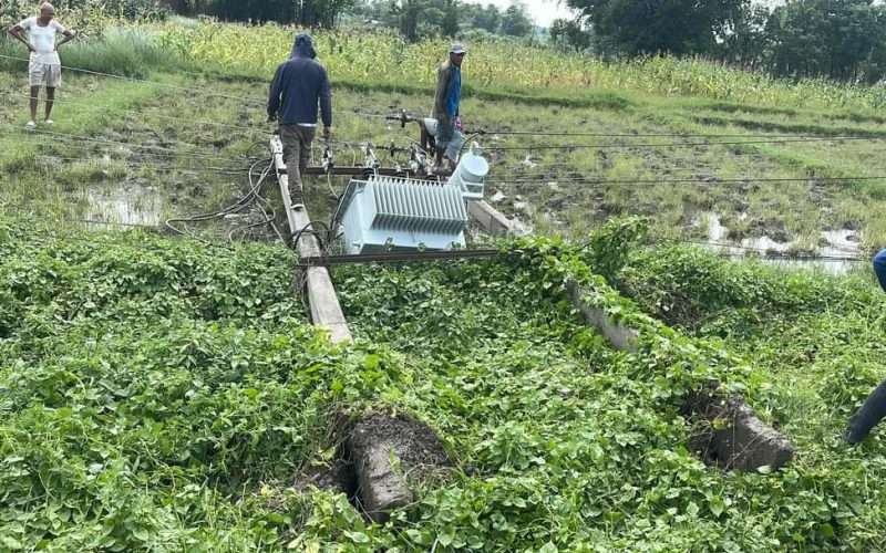 विर्तामोड -भद्रपुर सडक खण्डमा १० वटा पोल ढल्दा विद्युत अवरुद्ध