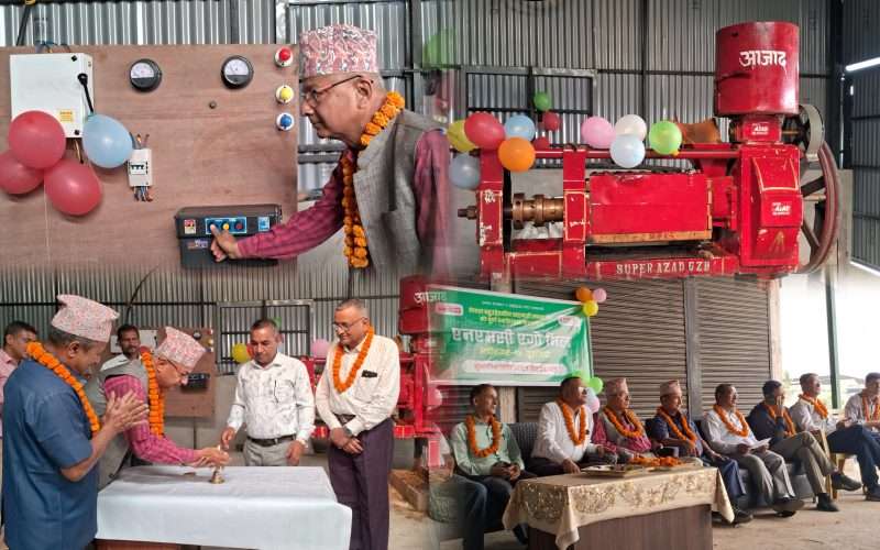 तोरीको तेल उत्पादन गर्दै एनएमसी एग्रो फार्म