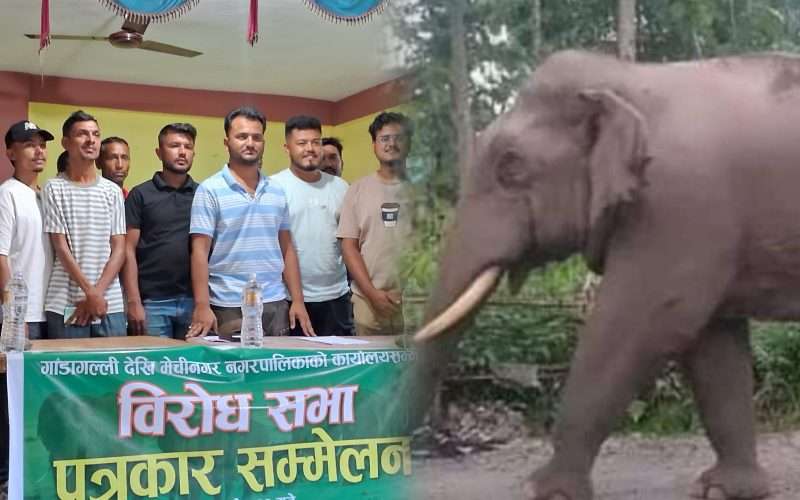 बाहुण्डाँगी: हात्ती पीडितको समस्या समाधान नहुँदा भोलि सयौं पीडित नगरपालिका जुलुससहित जाँदै