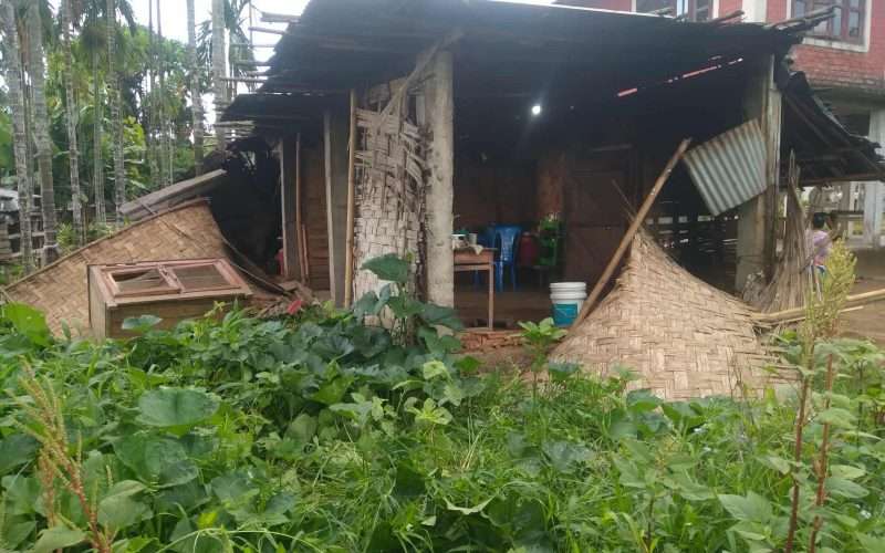 बाहुण्डाँगीमा जंगली हात्तीको आक्रमण, पचास हजार बराबरको क्षति