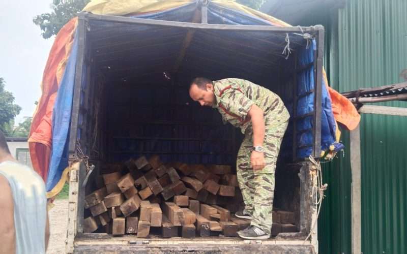 प्रहरीको मिलेमतोमा इलामका वनबाट झापातर्फ काठ तस्करी, सशस्त्रले बरामद गरेपछि खुल्यो रहस्य