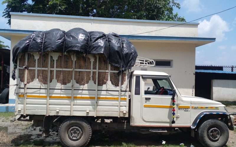 झापाको चारआलीमा २,४०० केजी भुईकटहरसहित भारतीय बोलेरो बरामद
