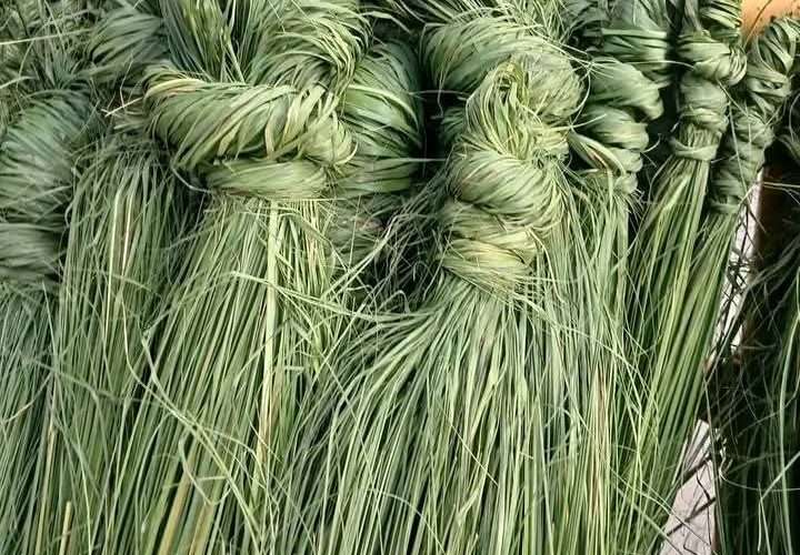 आज कुशे औँसी, बुवाको मुख हेर्ने दिन