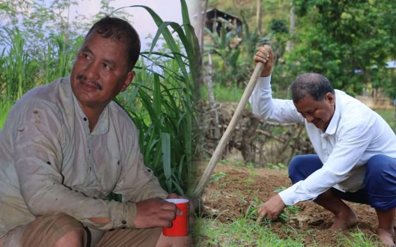 फलफूल राेप्न मधेस झरे विप्लव