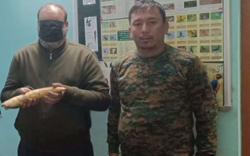 हात्तीको दाँत तस्करी मुद्दामा ऐतिहासिक सफलता : मुख्य अभियुक्तलाई ५ वर्ष कैद, ₹५० हजार जरिवाना