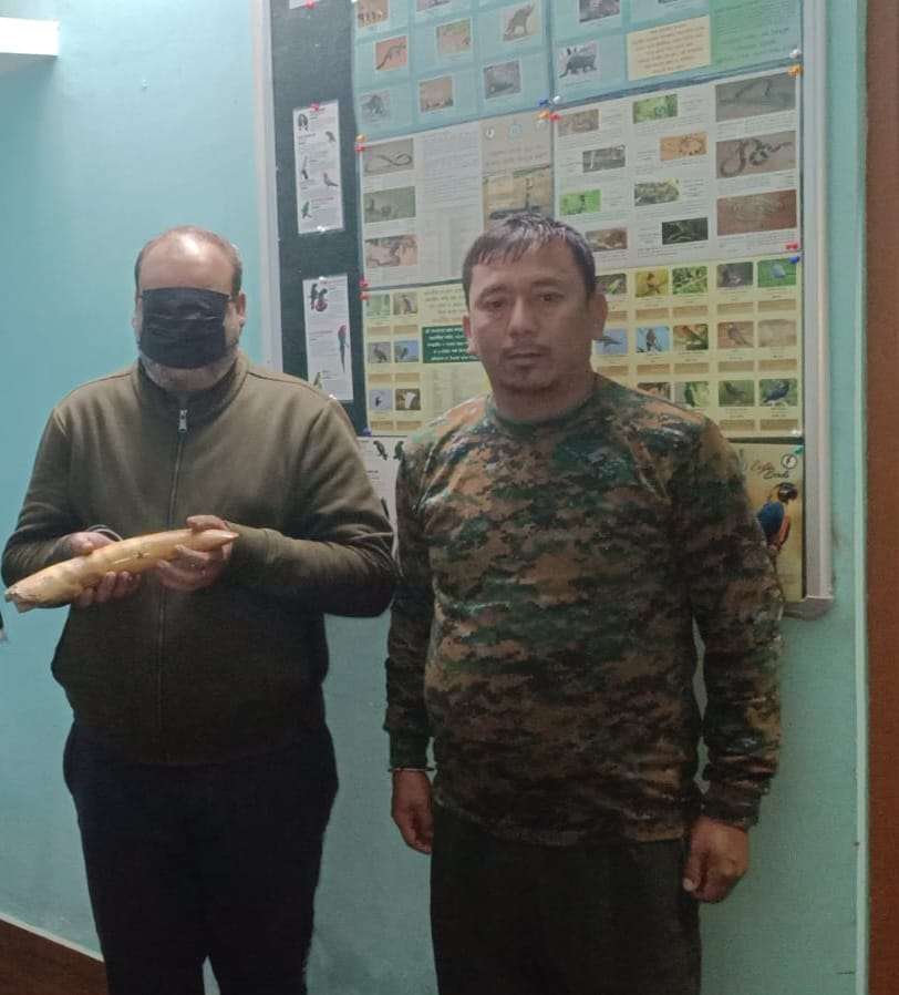 हात्तीको दाँत तस्करी मुद्दामा ऐतिहासिक सफलता : मुख्य अभियुक्तलाई ५ वर्ष कैद, ₹५० हजार जरिवाना